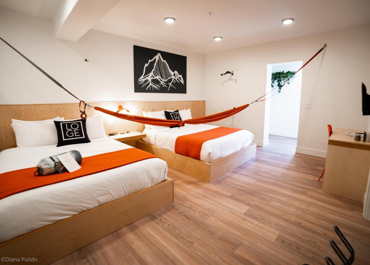 Loge - Downtown Hotel