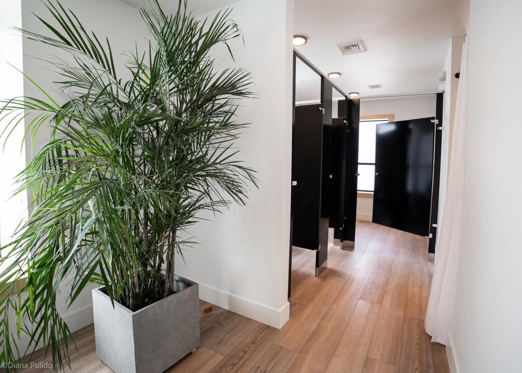Loge - Downtown Hotel